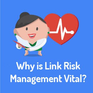 Warum ist Link Risk Management &quot;(über)lebenswichtig&quot; ?