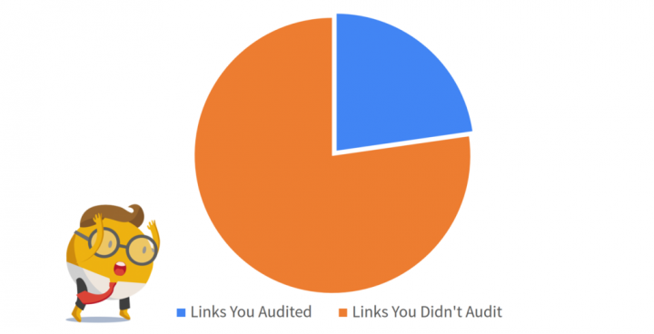 Complete Link Audit